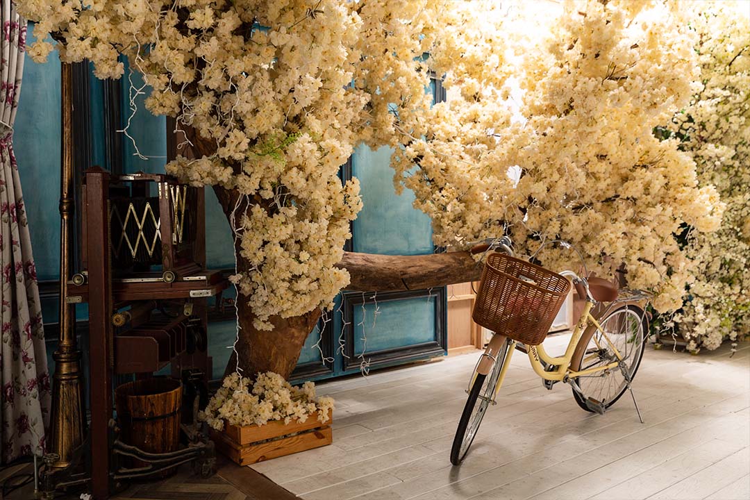 新竹法國巴黎 攝影棚4